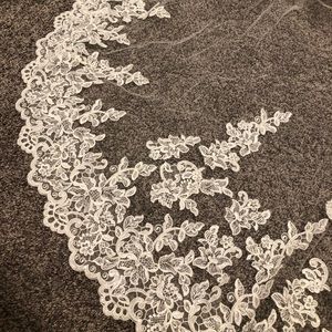 Cathedral length veil